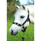 Gallop Headcollar and Leadrope set Black Shetland Gallop Equestrian Headcollars & Leadropes Barnstaple Equestrian Supplies