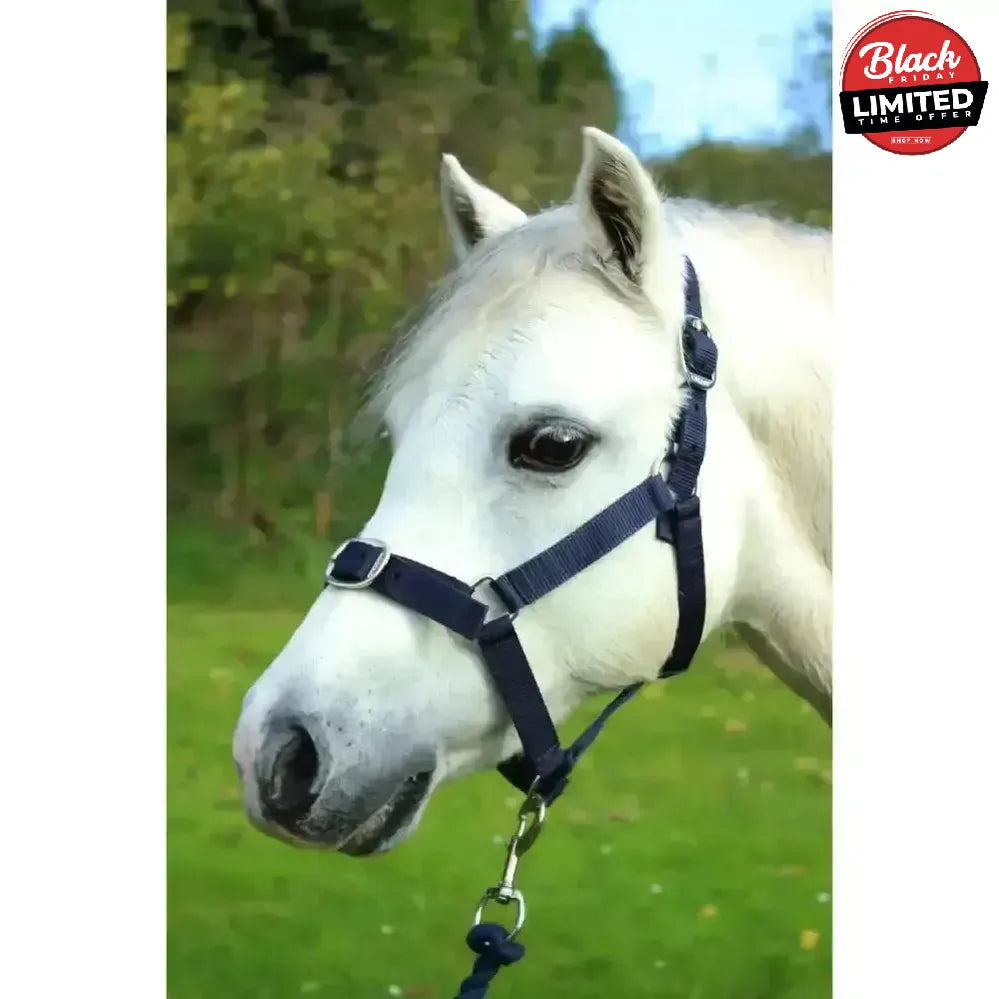 Gallop Headcollar and Leadrope set Black Shetland Headcollar Sets