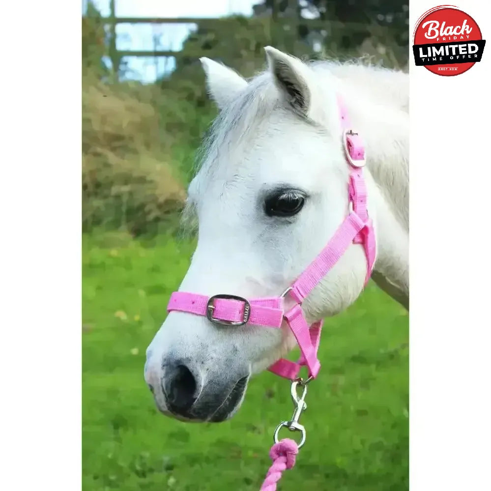Gallop Headcollar and Leadrope set Black Shetland Headcollar Sets