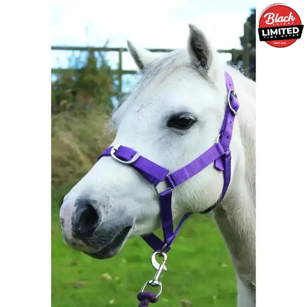 Gallop Headcollar and Leadrope set Black Shetland Headcollar Sets