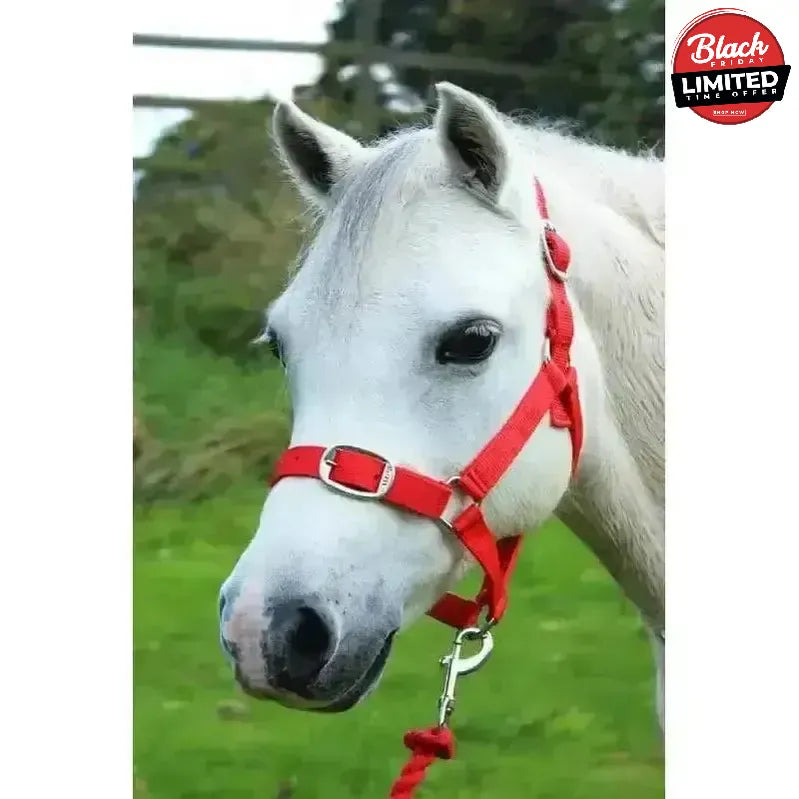 Gallop Headcollar and Leadrope set Black Shetland Headcollar Sets