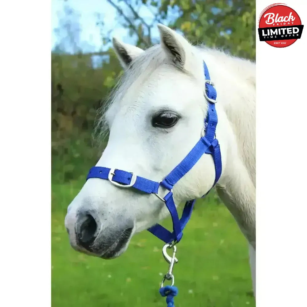Gallop Headcollar and Leadrope set Black Shetland Headcollar Sets
