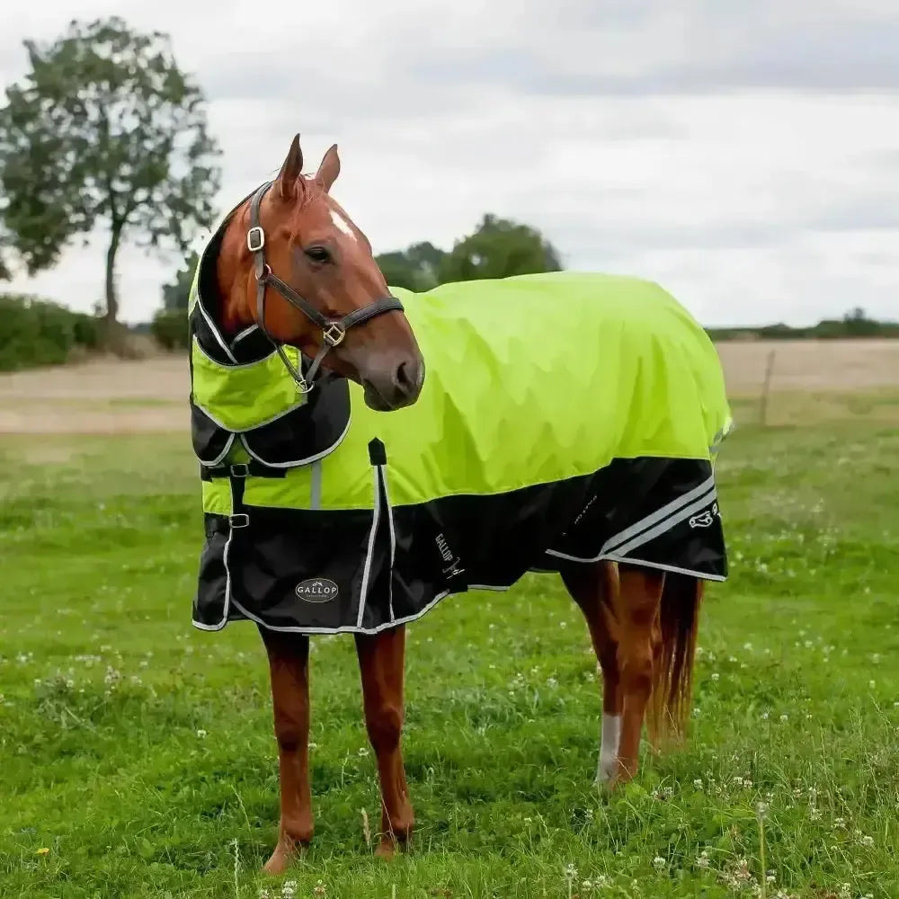 Gallop Hi-Vis 200g Medium Weight Turnout Rug Combo 4'9" Turnout Rugs