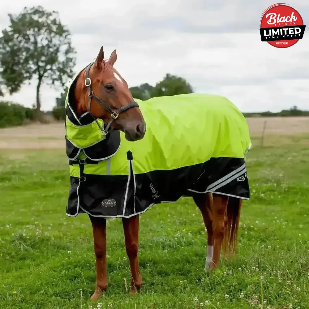 Gallop Hi-Vis 200g Medium Weight Turnout Rug Combo 4'9" Turnout Rugs