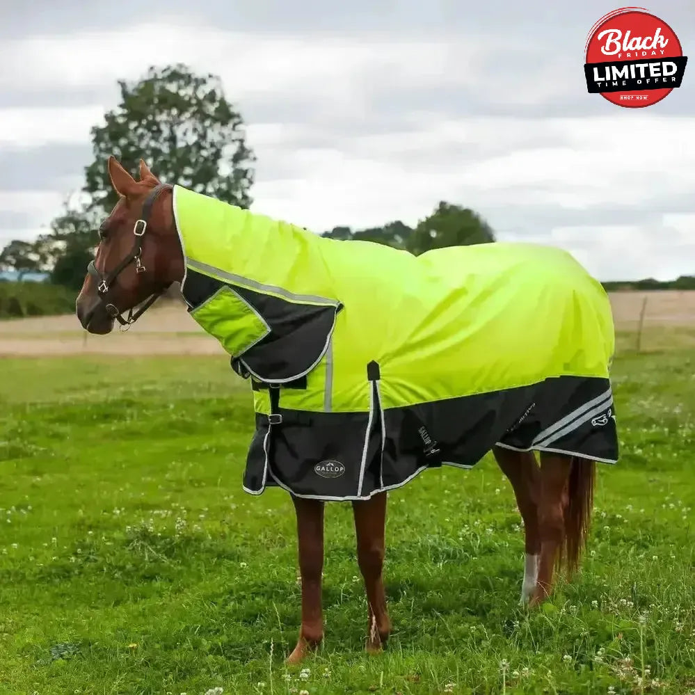 Gallop Hi-Vis 200g Medium Weight Turnout Rug Combo 4'9" Turnout Rugs