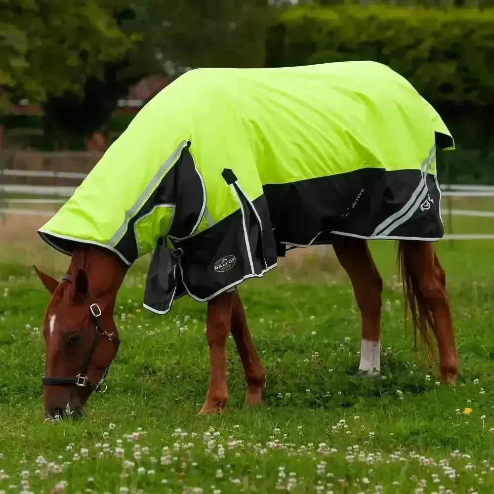 Gallop Hi-Vis 200g Medium Weight Turnout Rug Combo 4'9" Turnout Rugs