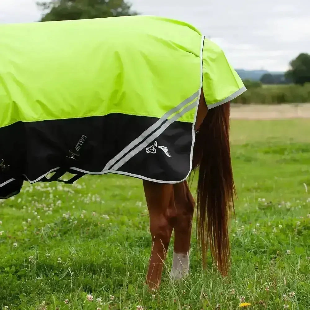 Gallop Hi-Vis 200g Medium Weight Turnout Rug Combo 4'9" Turnout Rugs