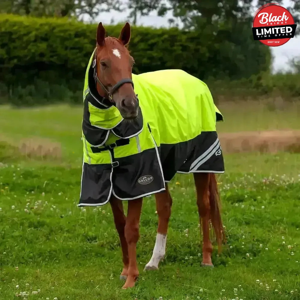 Gallop Hi-Vis 200g Medium Weight Turnout Rug Combo 4'9" Turnout Rugs