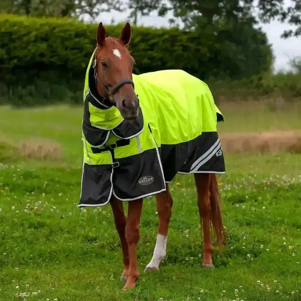 Gallop Hi-Vis 200g Medium Weight Turnout Rug Combo 4'9" Turnout Rugs