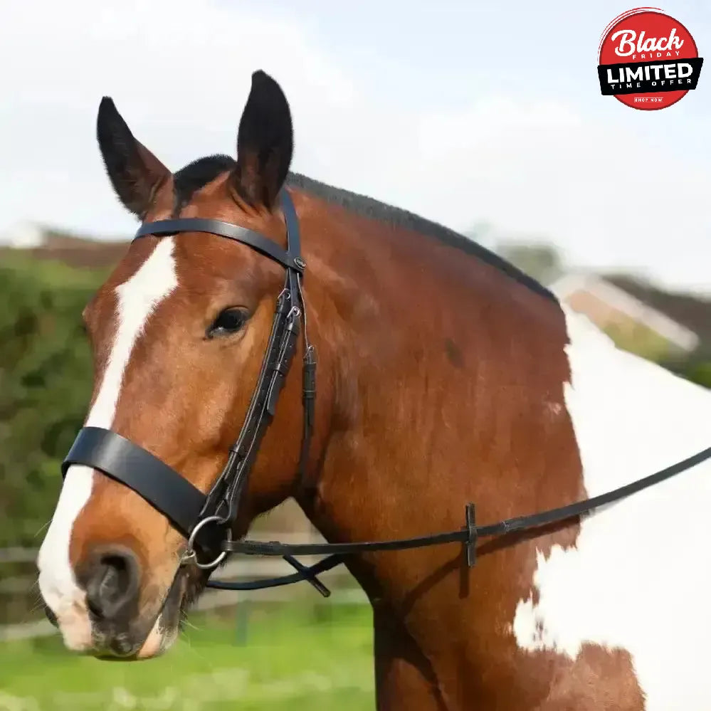 Gallop Hunter Bridle Black Cob Bridles