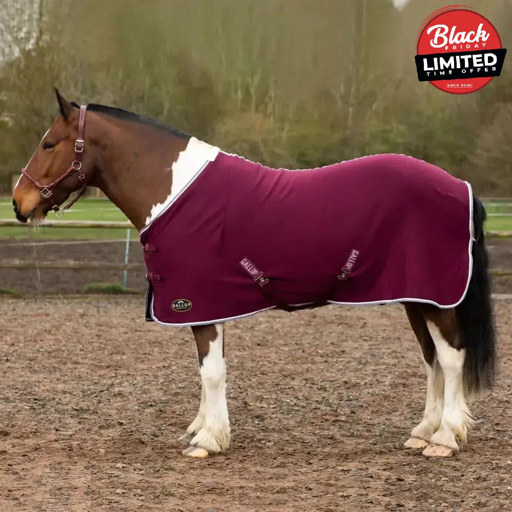 Gallop Jersey Cooler Rug Green 4'9" Cooler Rugs