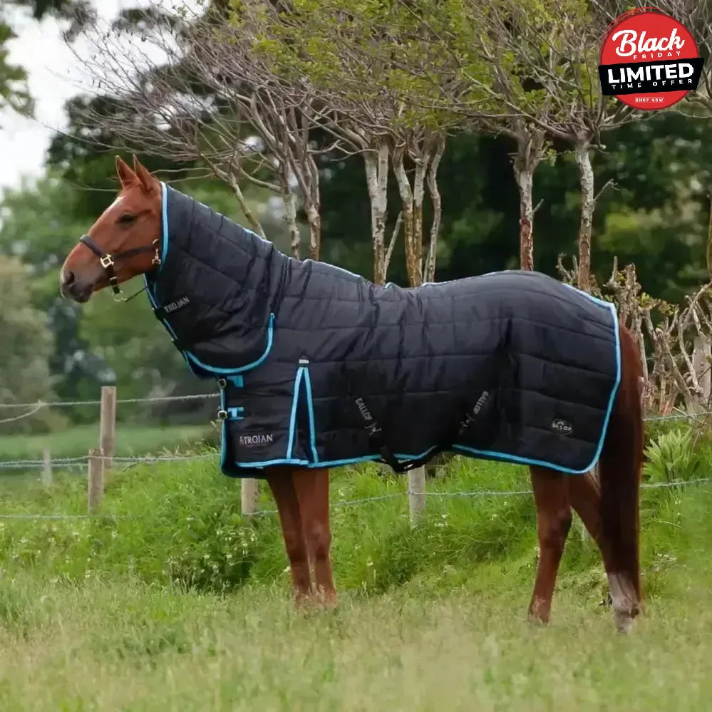 Gallop Maverick 300g Stable Rugs Heavyweight Combo 5'6" Stable Rugs