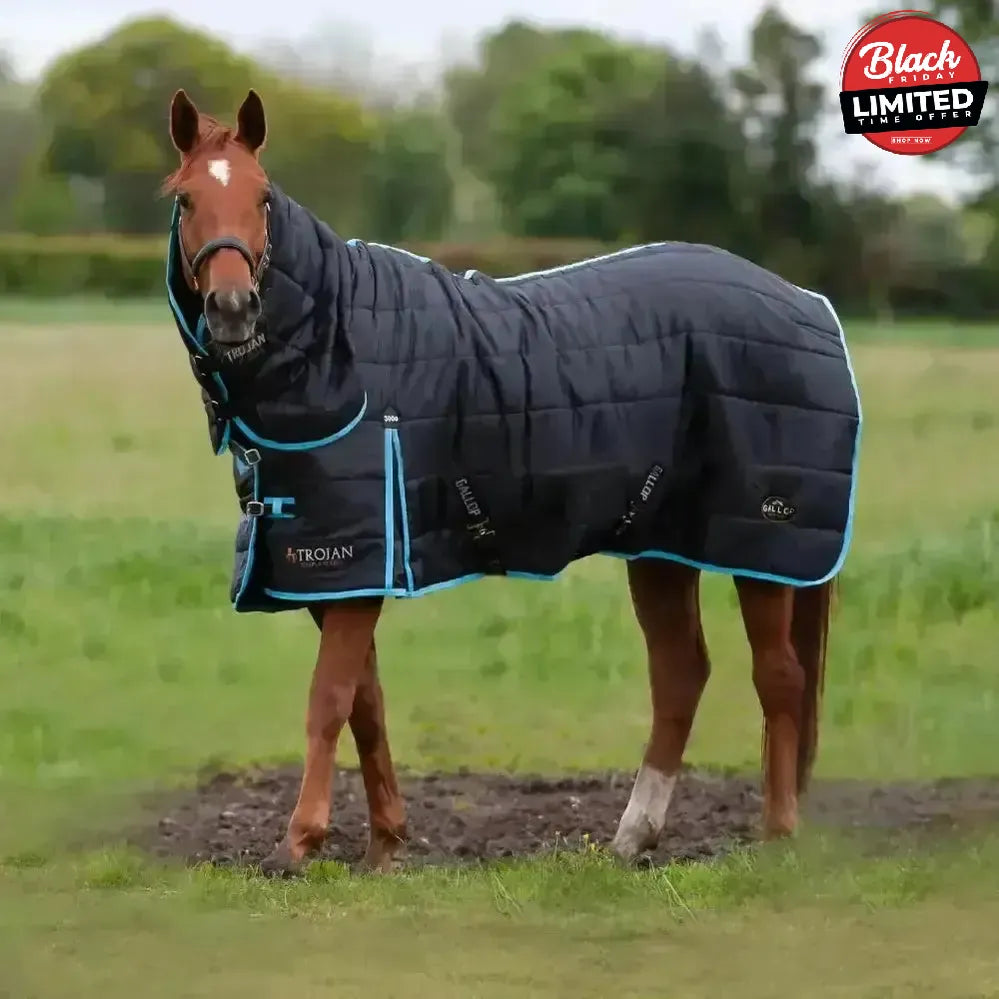 Gallop Maverick 300g Stable Rugs Heavyweight Combo 5'6" Stable Rugs