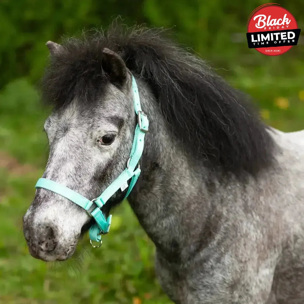 Gallop Mini Shetland Or Foal Nylon Headcollar Pink Headcollars