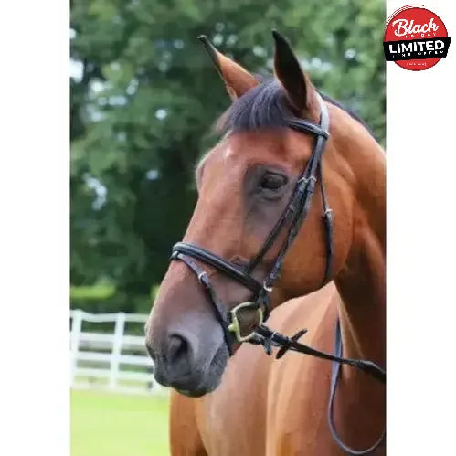 Gallop Padded Bridle With Rubber Reins Black Shetland Flash Bridles