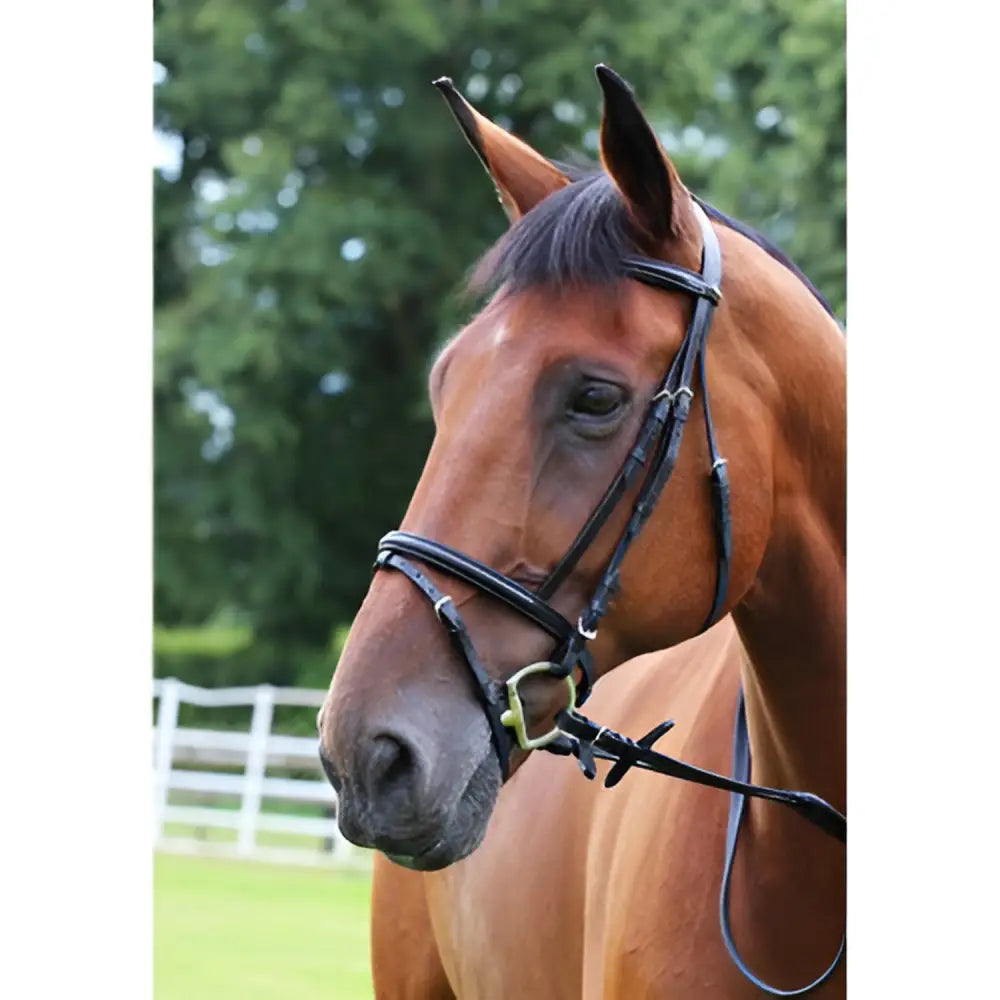 A sleek black leather gallop padded bridle with soft padded browband and durable rubber reins for comfort and control