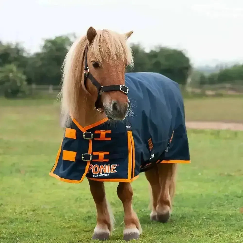 Gallop Ponie 100g Lightweight Turnout Rug With Standard Neck 4'0" Turnout Rugs