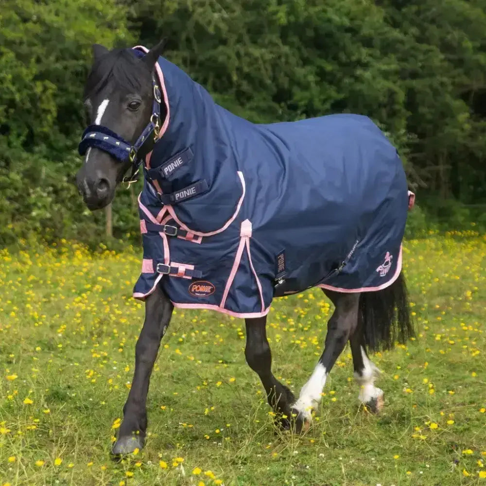 Navy blue and pink gallop ponie 50g combo turnout horse rug with adjustable straps and hood for medium weight use