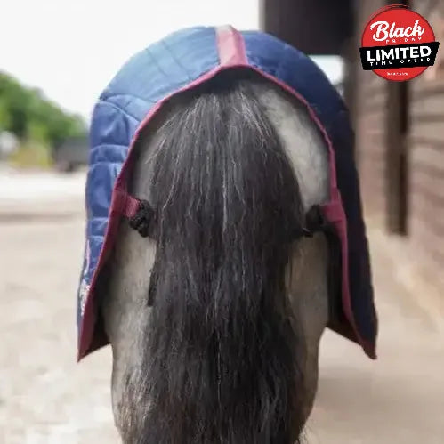 Gallop Ponie 50g Stable Rug 3'6 Stable Rugs