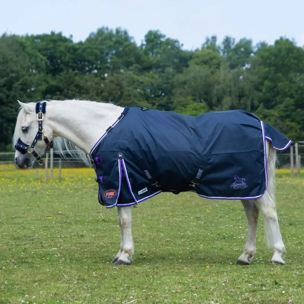 Navy blue gallop ponie duraproof turnout rug standard neck 5-point with purple trim and brand logo visible