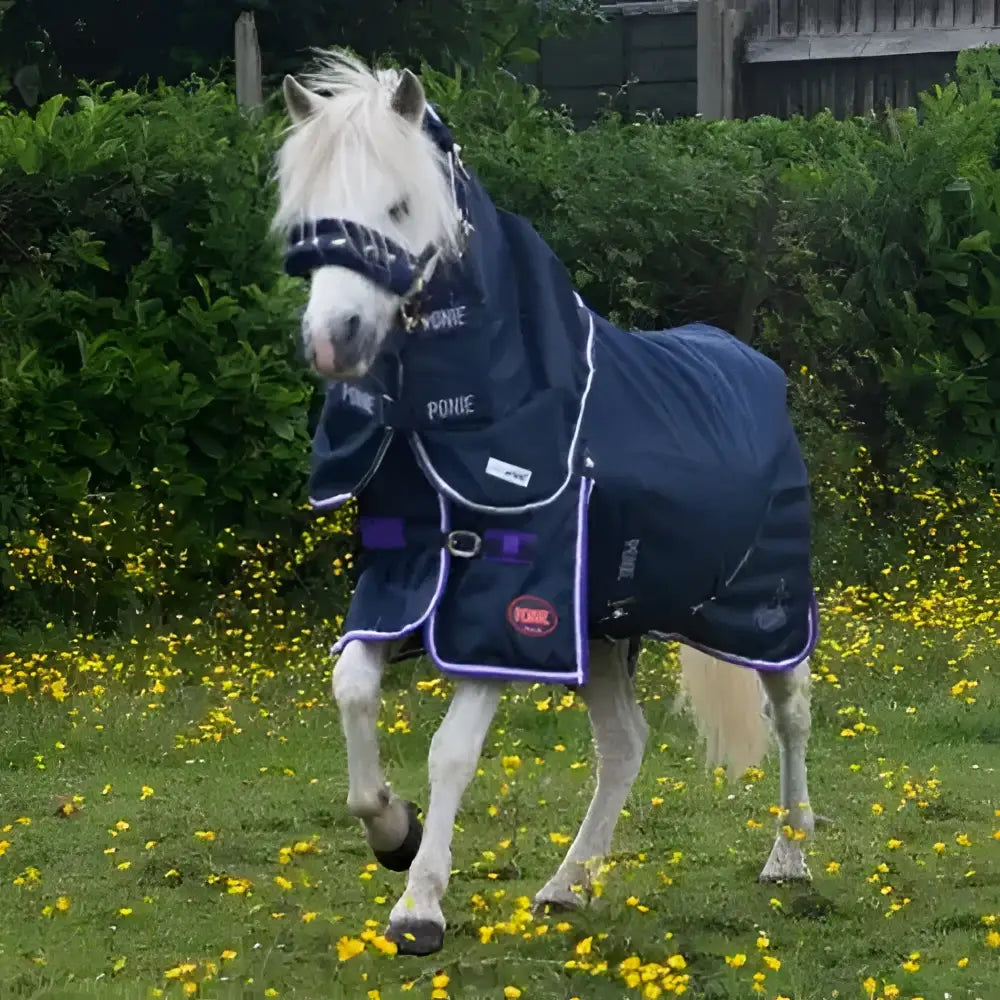 Navy blue gallop ponie duraproof turnout rug standard neck 5-point with purple trim front pocket and adjustable straps