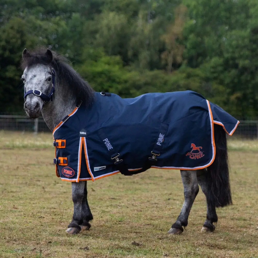Navy blue gallop ponie 100g lightweight turnout rug with orange trim and adjustable straps for a secure fit