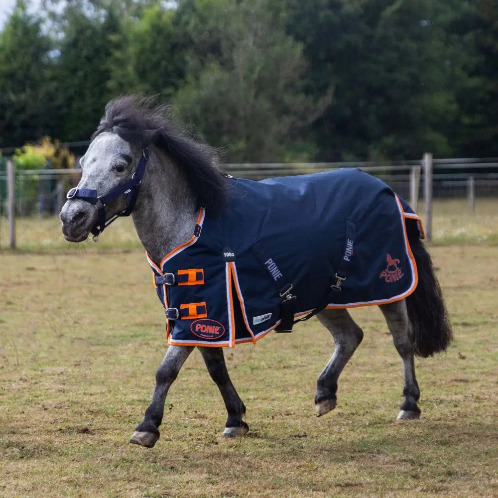 Navy blue gallop ponie duraproof 100g lightweight turnout rug with orange trim and adjustable straps for ponies