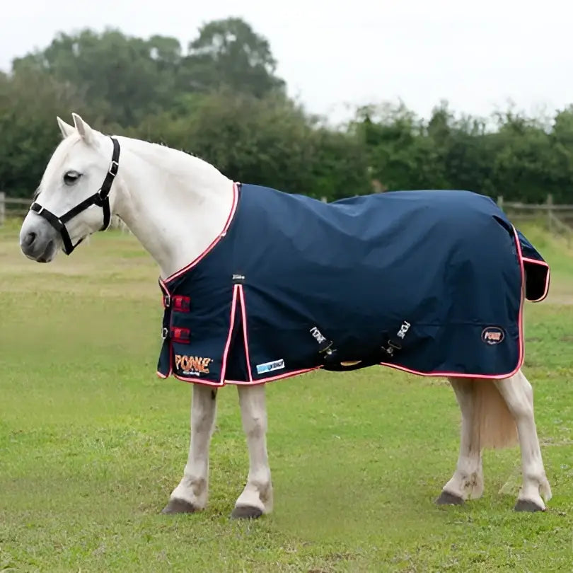 Navy blue gallop trojan pony turnout rug medium with pink trim black buckles and standard neck design