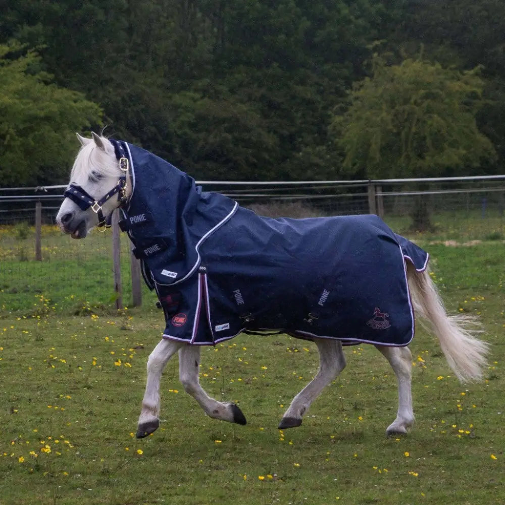 Navy blue gallop ponie duraproof 50g standard neck turnout rug with white trim and brand logos on the back side