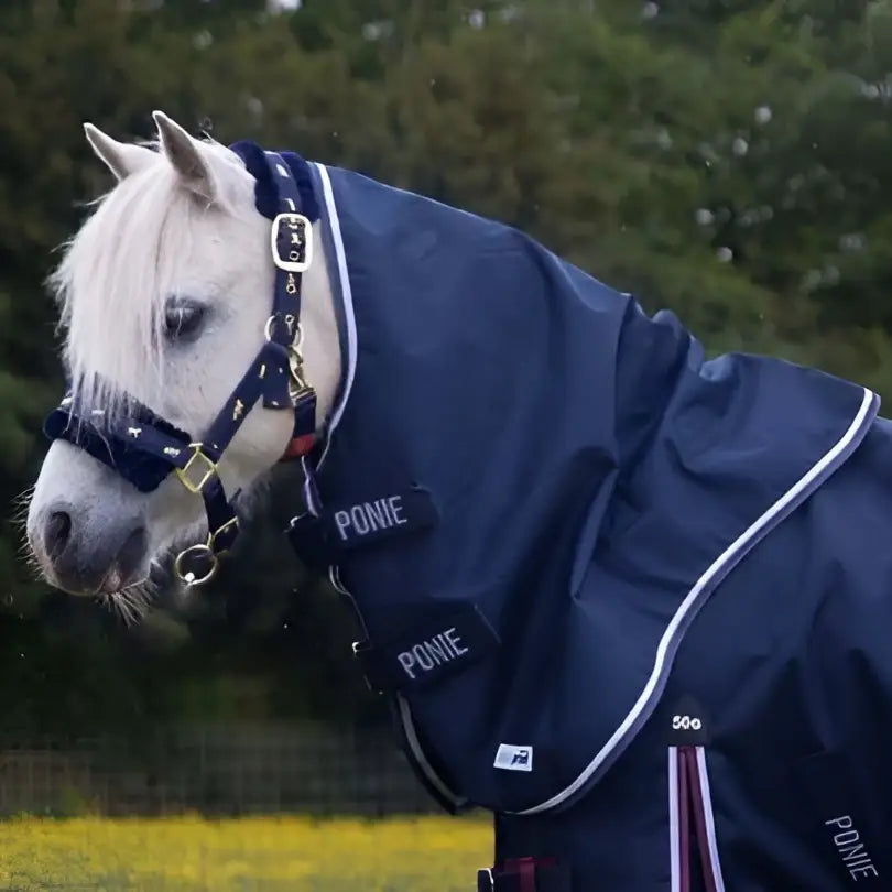 Navy neck cover gallop ponie duraproof lightweight neck cover with white trim and gold hardware on black straps