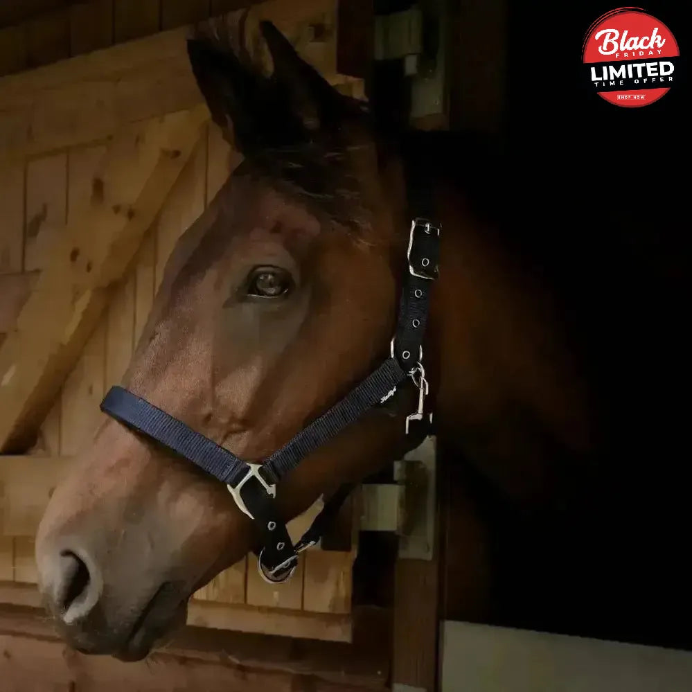 Gallop Premium Padded Headcollar Black Shetland Headcollar Sets