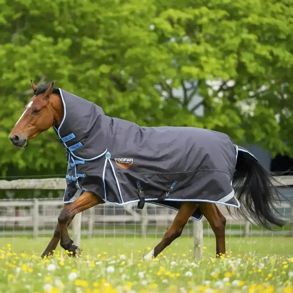 Gray gallop toofan 350g heavy weight turnout horse blanket with blue trim and adjustable straps for durability