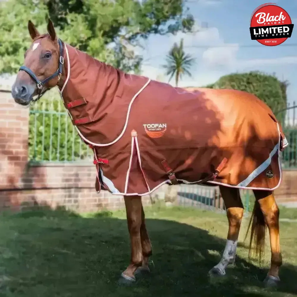 Gallop Toofan Dual 200g Medium Weight Dual Turnout Rug Detachable Neck Brown / Red 5'6" Turnout Rugs