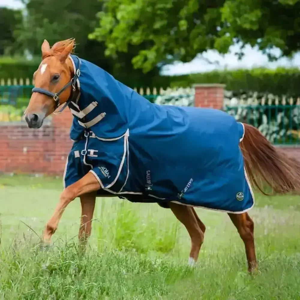Gallop Trojan 100g Lightweight Combo Turnout Rug 5'3 Turnout Rugs