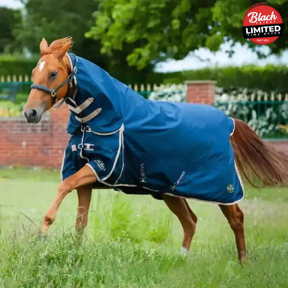 Gallop Trojan 100g Lightweight Combo Turnout Rug 5'3 Turnout Rugs