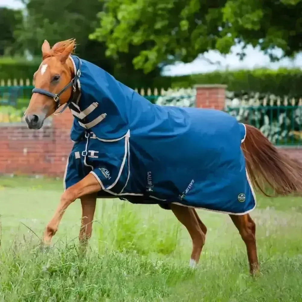 Gallop Trojan 100g Lightweight Combo Turnout Rug 5'6" Turnout Rugs