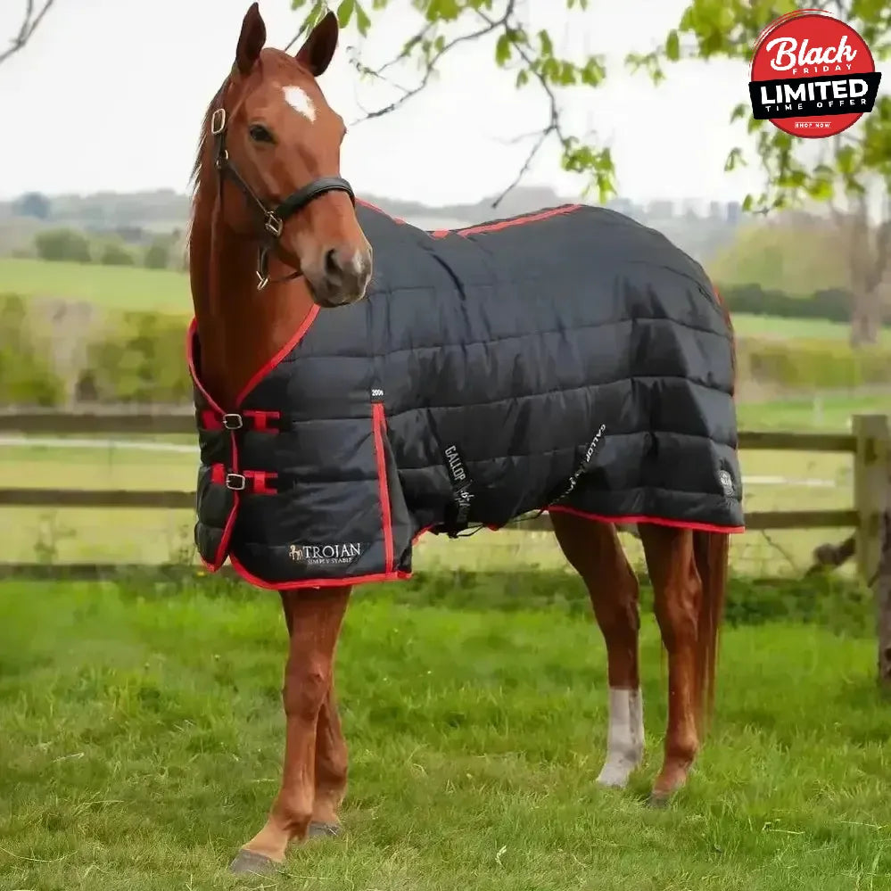 Gallop Trojan 200g Stable Rug 5'6" Stable Rugs