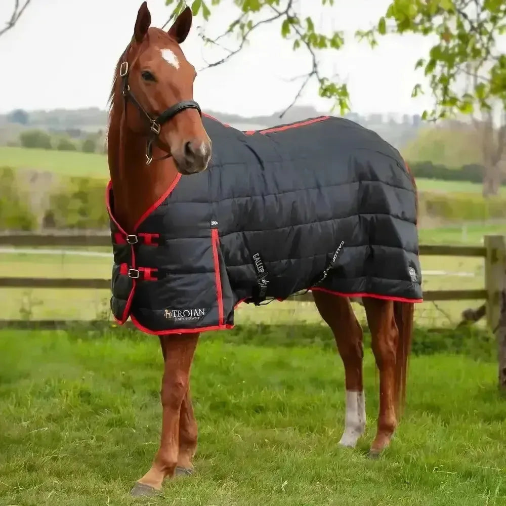 Gallop Trojan 200g Stable Rug 5'6" Stable Rugs