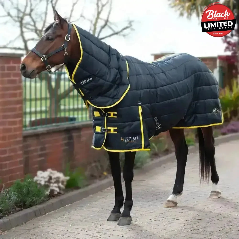 Gallop Trojan 200g Stable Rug Medium Weight Combo 5'6" Stable Rugs