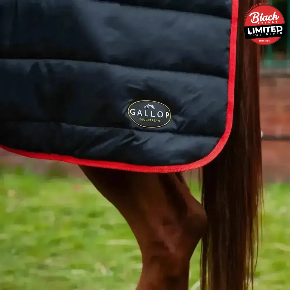 Gallop Trojan 200g Stable Rug 5'6" Stable Rugs