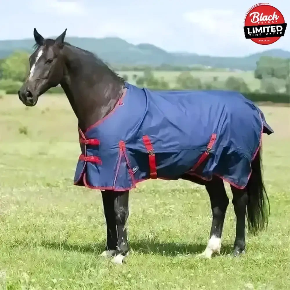 Navy blue gallop trojan 200g turnout rug with red trim and adjustable straps for standard neck horses