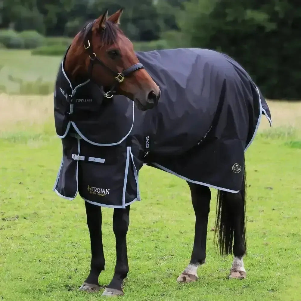 Gallop Trojan 300g Heavy Weight Turnout Rugs Dual Black / Grey Bindings 5'6" Turnout Rugs