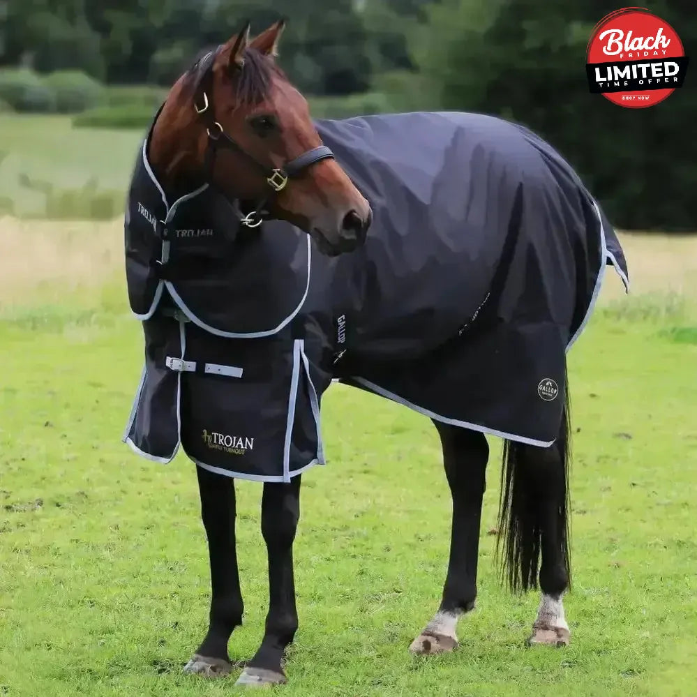 Gallop Trojan 300g Heavy Weight Turnout Rugs Dual Black / Grey Bindings 5'6" Turnout Rugs