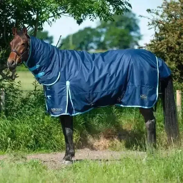 Gallop Trojan 350g Heavy Weight Turnout Rug Combo 5'6" Turnout Rugs