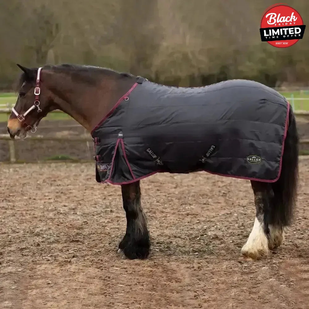Gallop Trojan 50g Stable Rug Lightweight Stable Rug 5'6" Stable Rugs