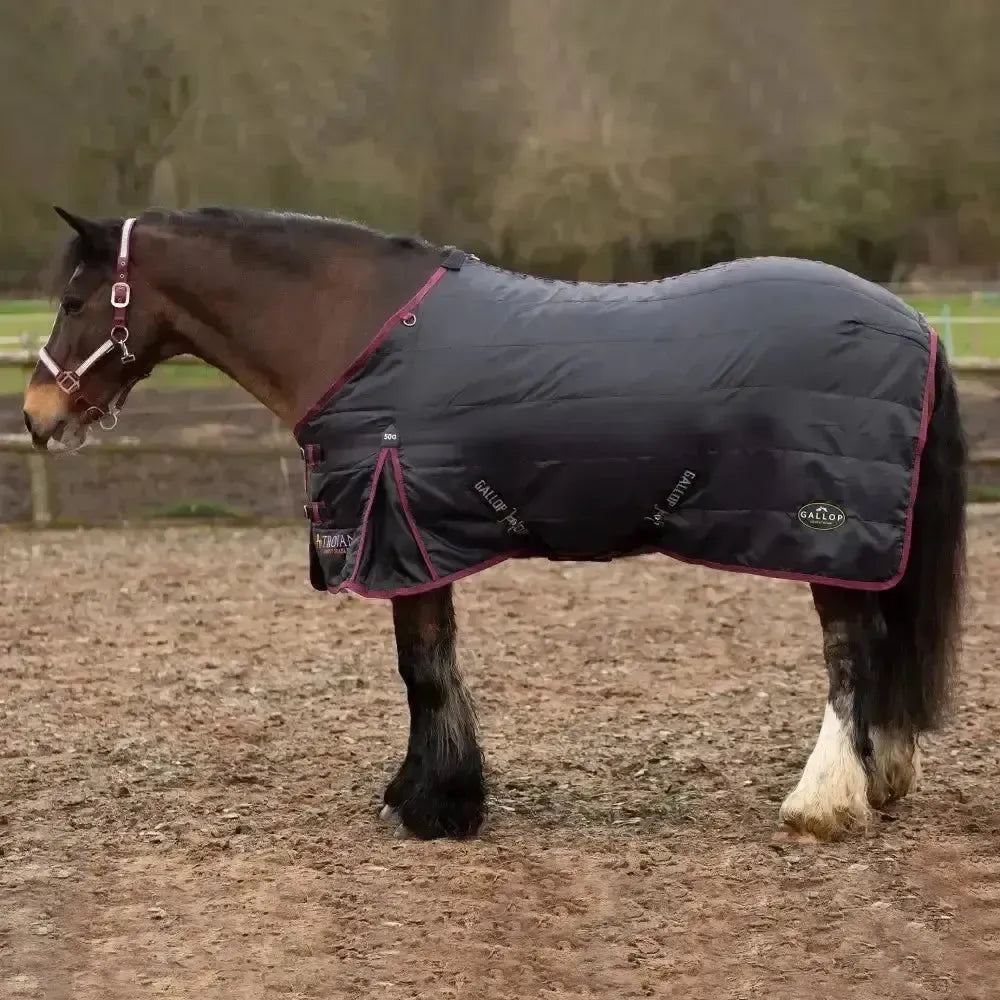 Gallop Trojan 50g Stable Rug Lightweight Stable Rug 5'6" Stable Rugs
