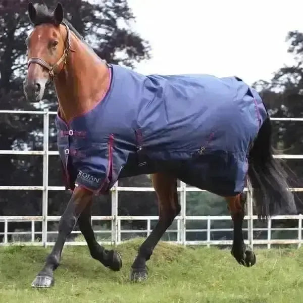 Gallop Trojan 50g Turnout Rug Lightweight Standard Neck 7'0" Turnout Rugs