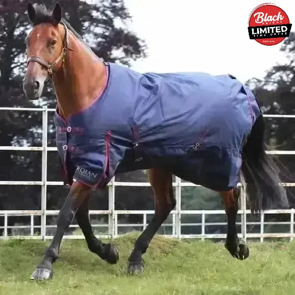Gallop Trojan 50g Turnout Rug Lightweight Standard Neck 7'0" Turnout Rugs