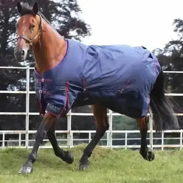 Gallop Trojan 50g Turnout Rug Lightweight Standard Neck 7'0" Turnout Rugs
