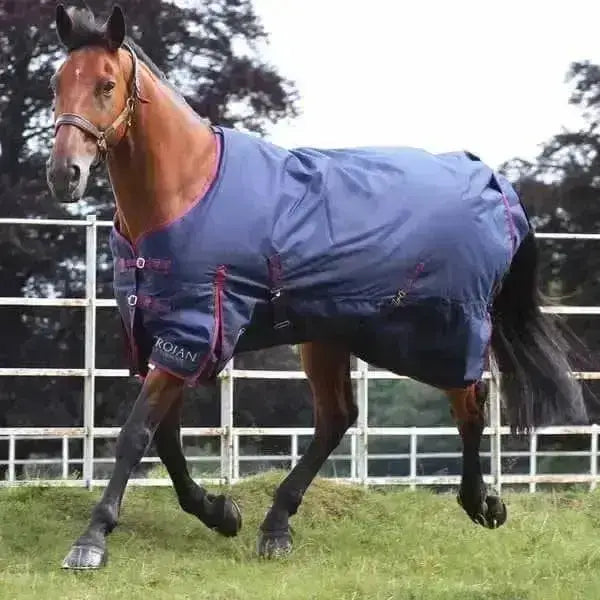 Navy blue gallop trojan 50g turnout rug with red trim and adjustable straps for secure fit featuring kojan logo